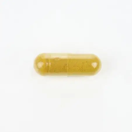 COLESTEROL FORTE – Cuide do seu Coração, Naturalmente