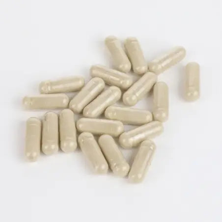 MELATONINA – Adormeça com leveza, acorde com energia