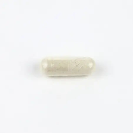 MULTIVITAMÍNICO – Energia, Foco e Bem-Estar em Cada Cápsula